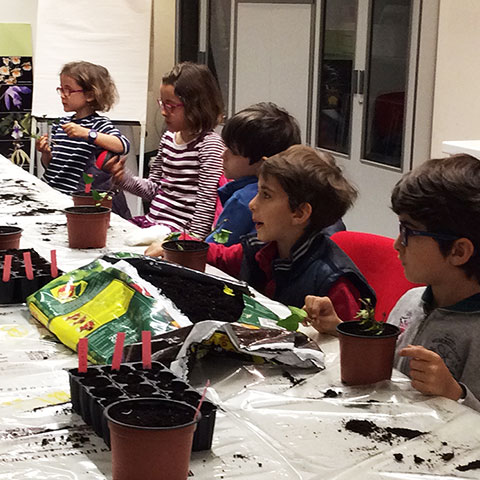 taller infantil de jardinería